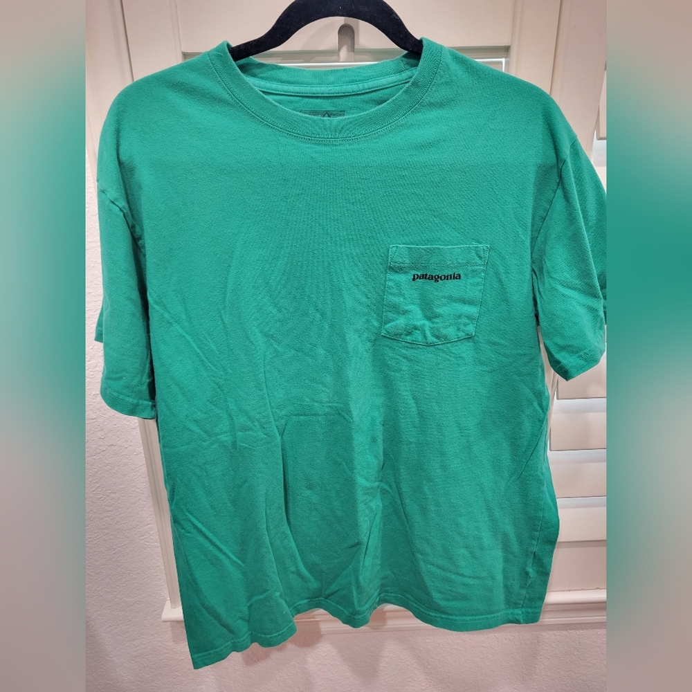 Patagonia Men's Short Sleeve Tee in Vibrant Green